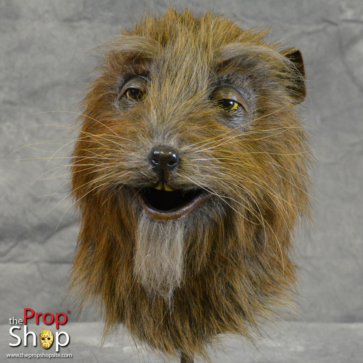 Splinter Costumer Master Splinter Costume For Dogs