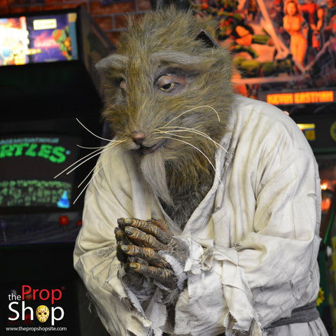 Movie Rat Costume